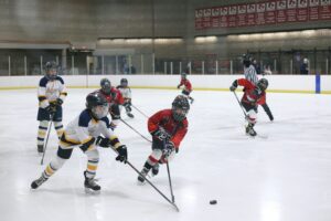 a group of kids playing hockey, in an ice ring. They are wearing their hockey jerseys.