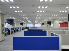 a photo of rows of cubicles in an office space.