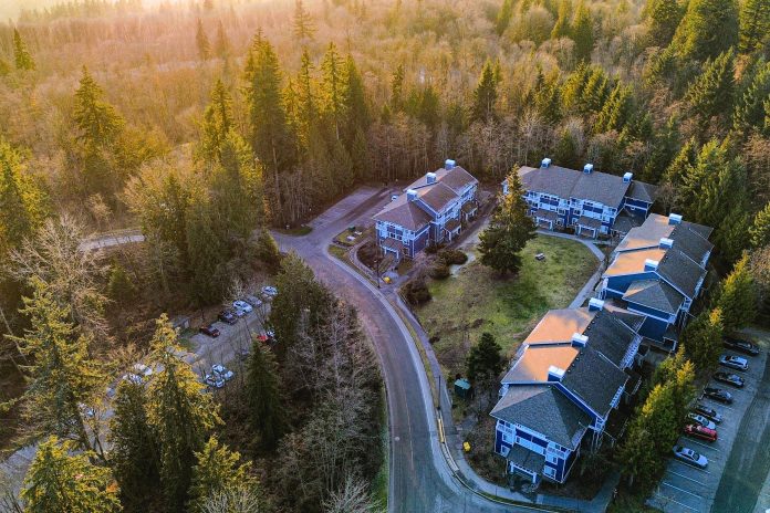 A group of SFU residence buildings is pictured from a bird’s-eye view. Many of Burnaby Mountain’s trees surround the buildings.