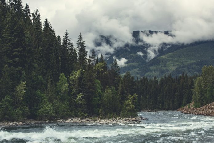 a photo of a mountainous landscape in BC. There’s a narrow waterway running through the ranges. Trees and greenery cover the land.