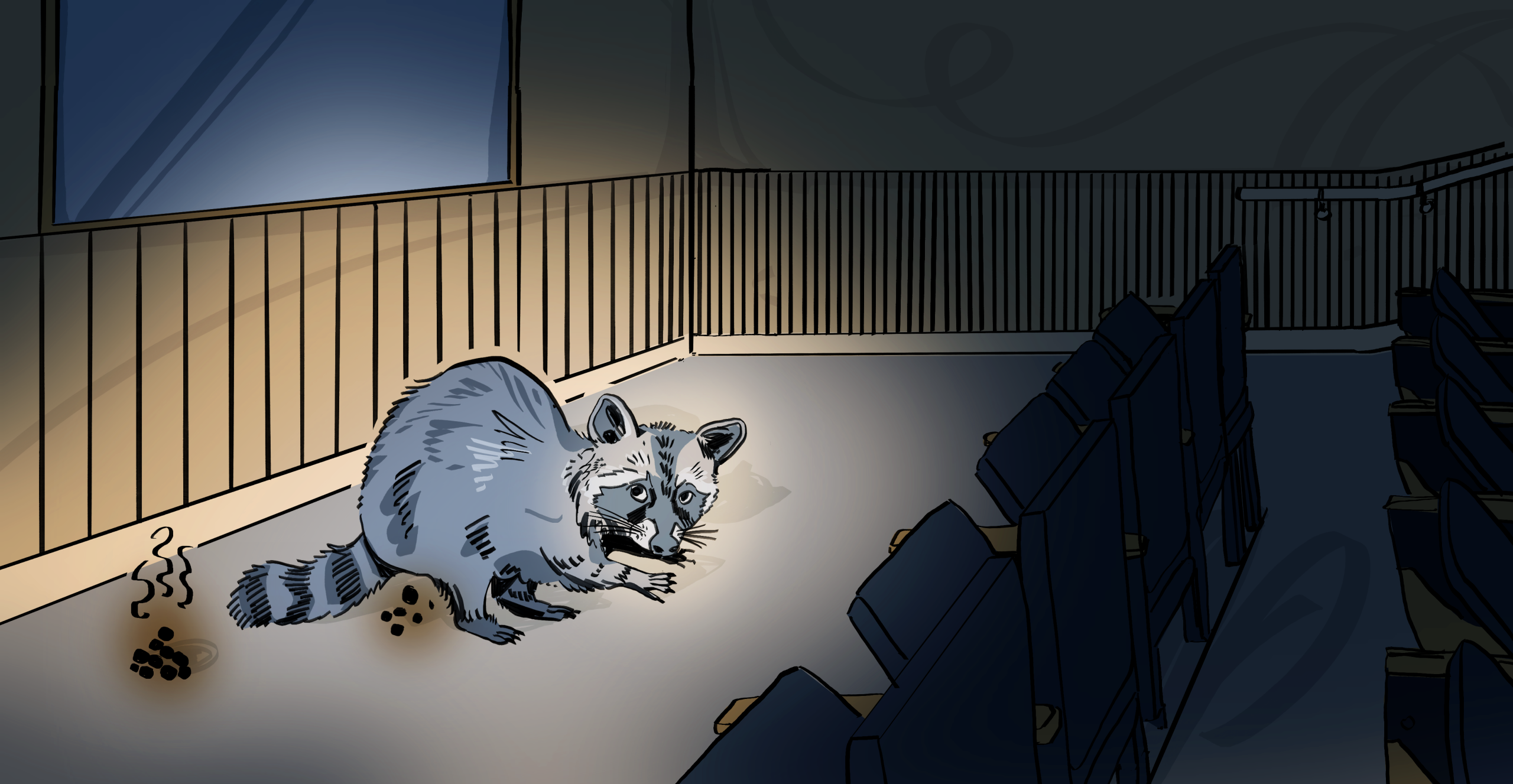 a racoon defecating on the floor of a lecture hall. There is a pile of poop behind it.