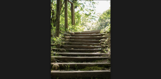 Reimagining the outdoors as more inclusive and accessible spaces A flight of stairs on a hiking trail in the forest