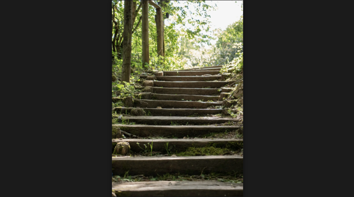 A flight of stairs on a hiking trail in the forest