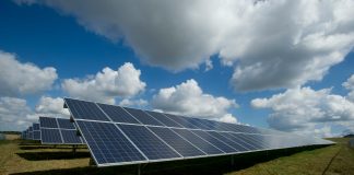 The only energy superpower Canada should become is green Multiple solar panels on a grass field