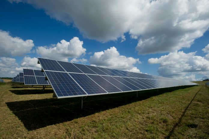 Multiple solar panels on a grass field