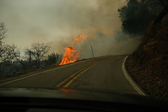 A fire burning on the side of a road